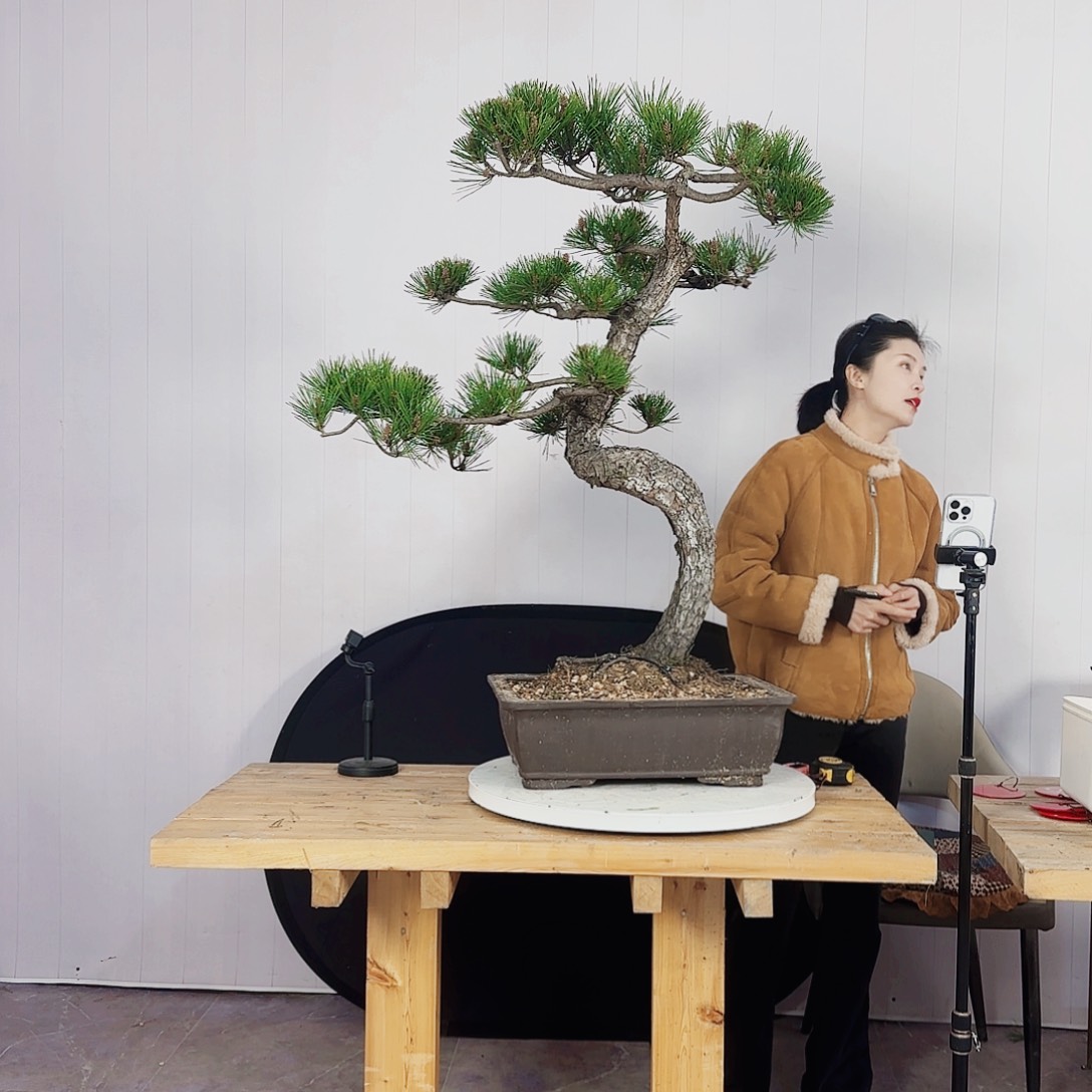 A****j直播间虎哥欢欢