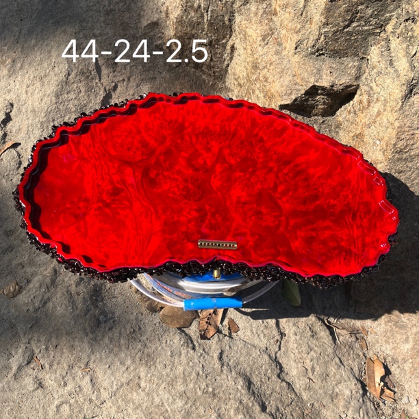 44-25-2.5 黄金樟茶盘干泡托盘壶承高端整块原木树根满榴花