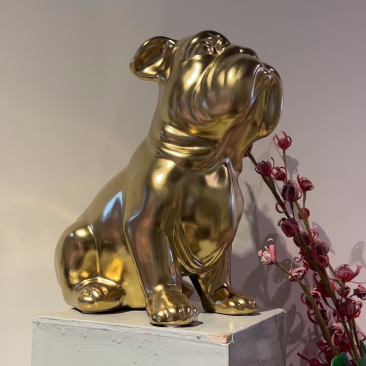 瓶今天有幸参加了