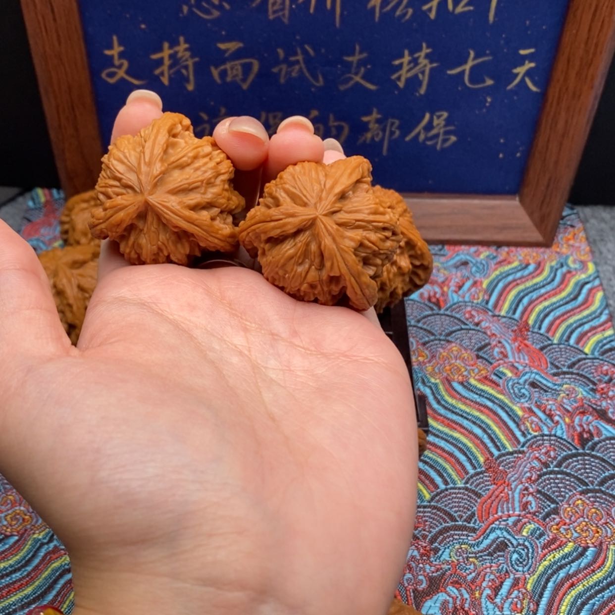 【闪购商品】不***达白狮