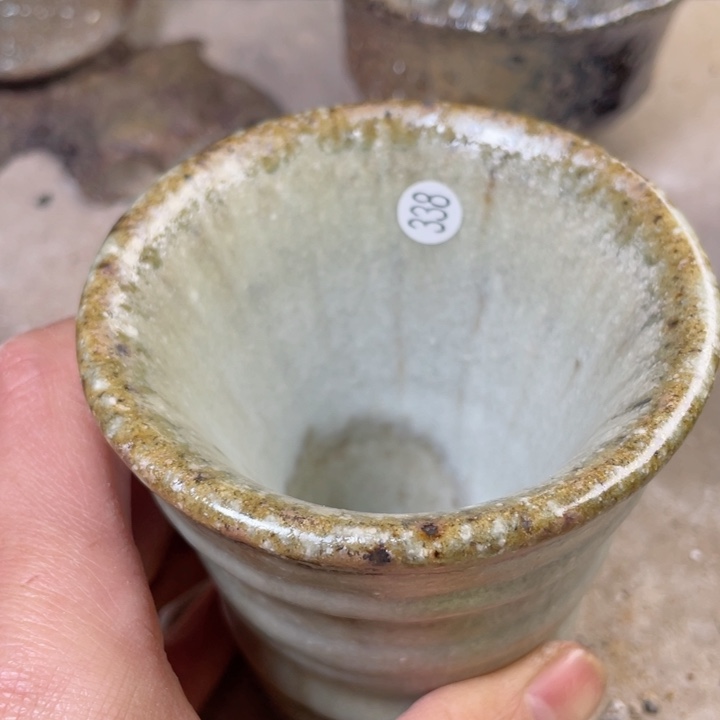 茶宠盏盏灯都是我的爱呀