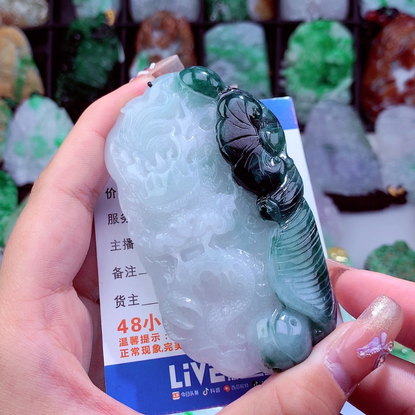 【闪购商品】翡翠颈饰未镶嵌挂件