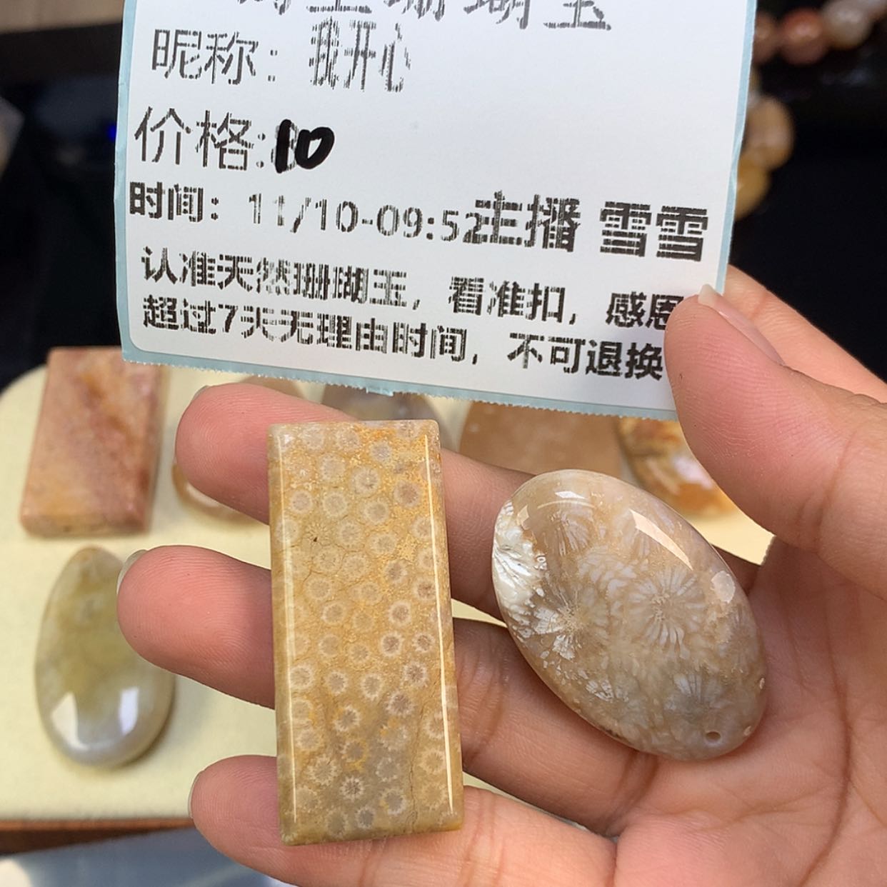 【闪购商品】颈饰未镶嵌硅化珊瑚（珊瑚玉）我*心