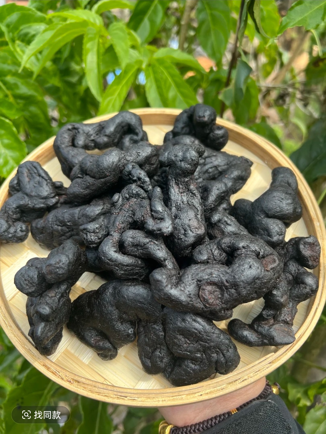 现收九蒸九晒黄/精 茶 A16 搭配枸杞 农产品食用