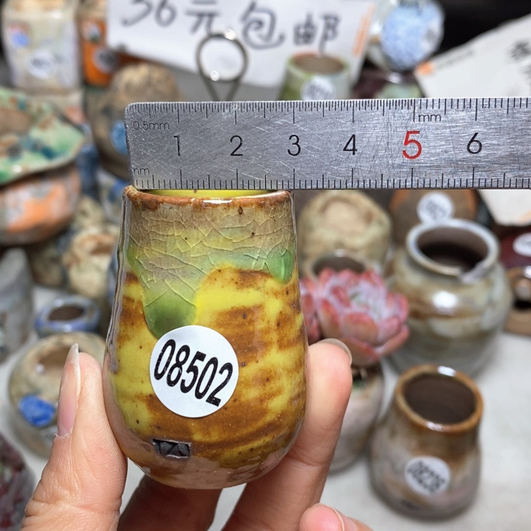 花盆拍5送一个小礼物