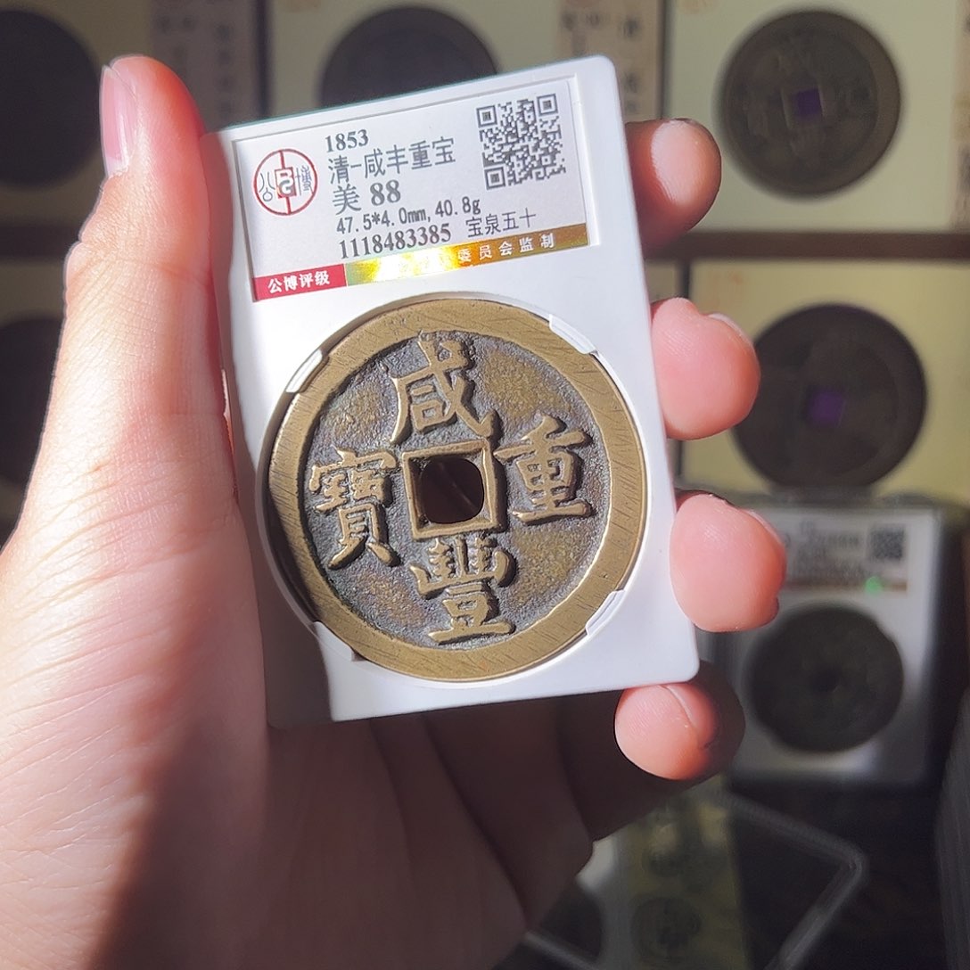 金M****O雨雨雨雨雨雨雨雨雨雨雨雨雨雨