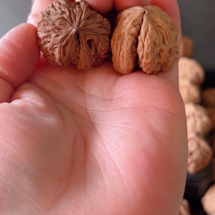 螃***️吊坠文玩核桃文玩