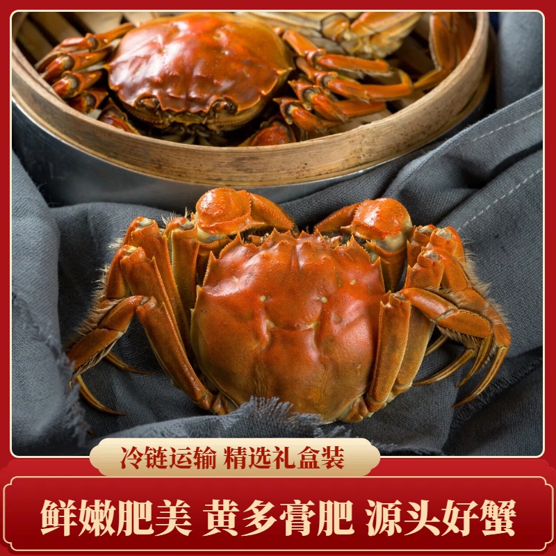 【活蟹】盘锦河蟹 母蟹4只（2-2.3两/只）公蟹4只（2.7-3两/只）