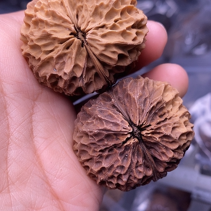 文玩核桃把件   215