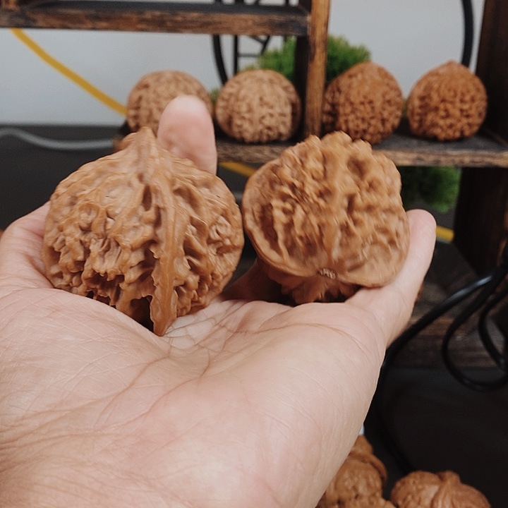 51大帝王狮子头红皮果
