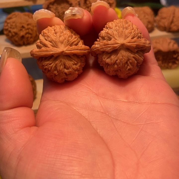 官方网站发布消息^_^