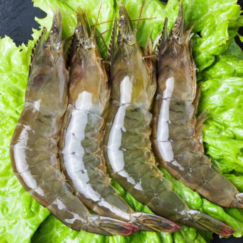 2030规格大号海洋大虾活虾速冻整盒发货到手40只左右20251.23