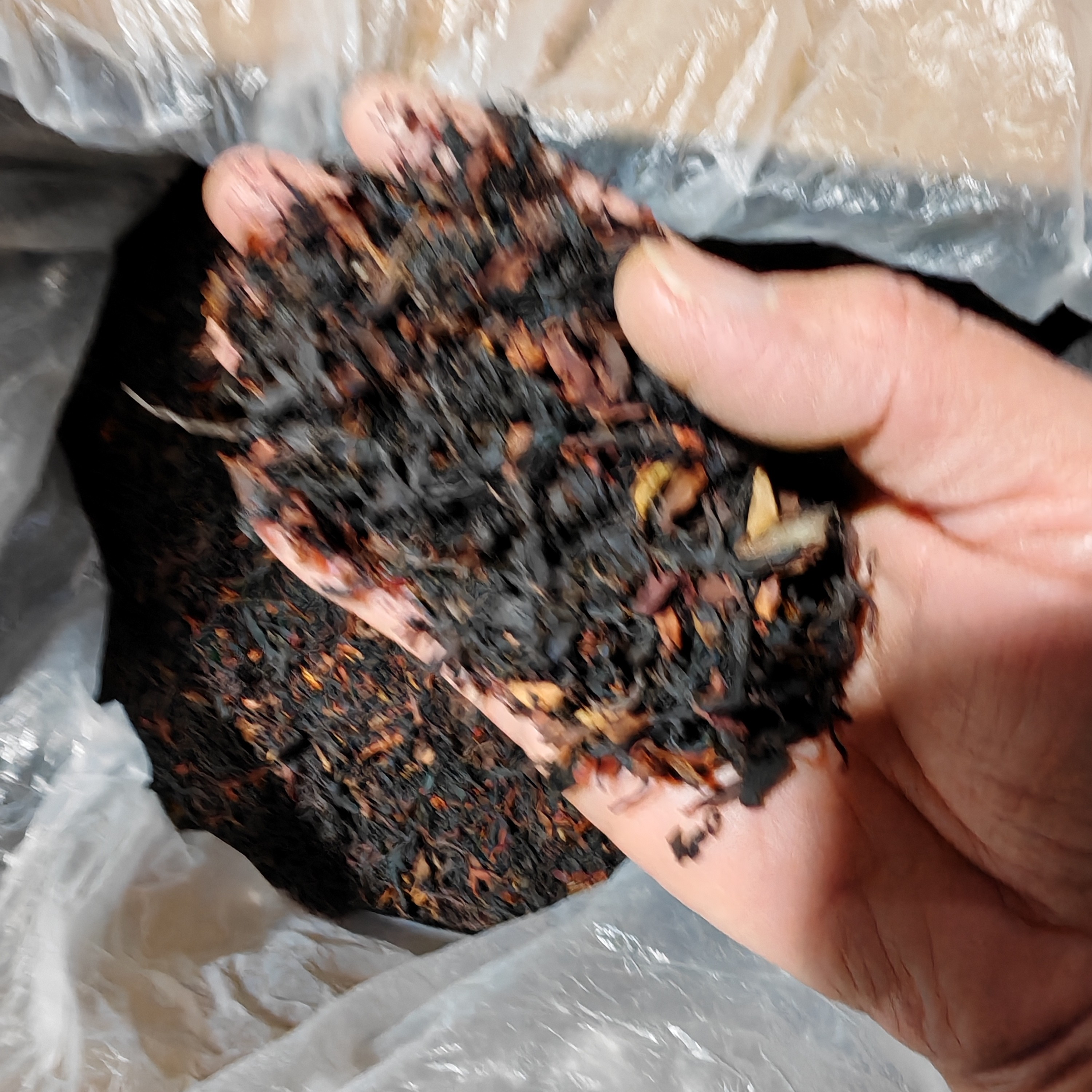 荒野晒红茶碎（响水河荒野晒红）