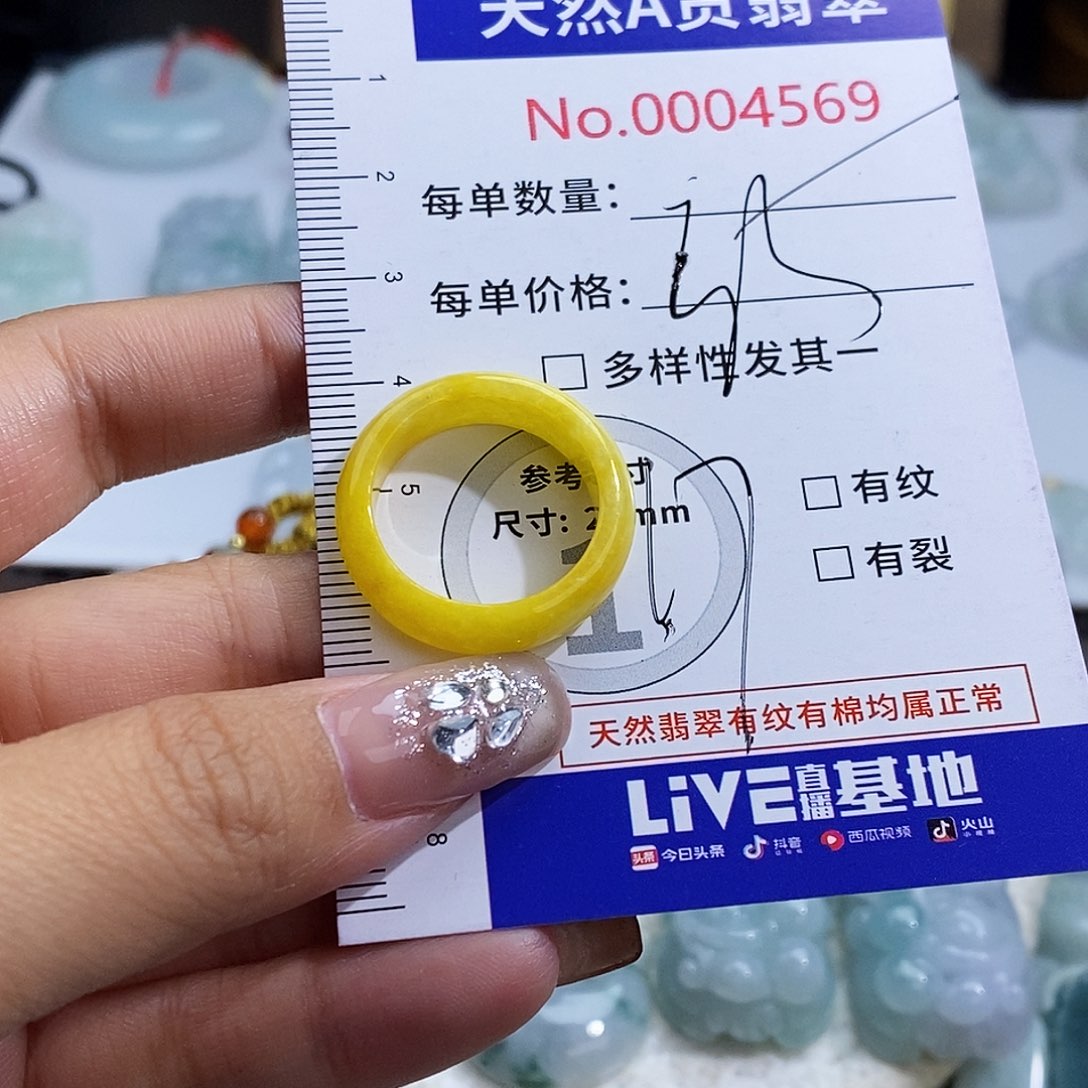 翡翠未镶嵌颈饰4569