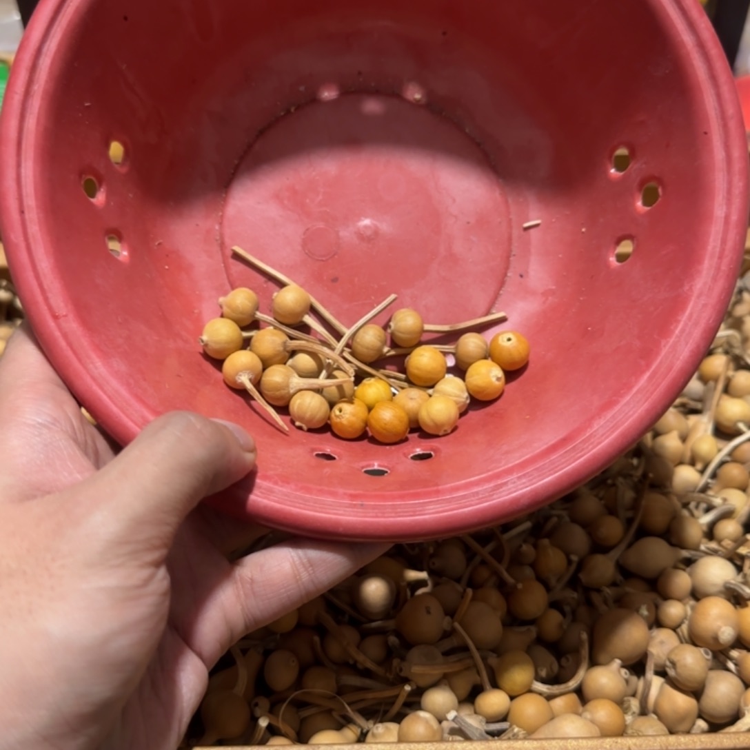 140专属水滴葫芦链接