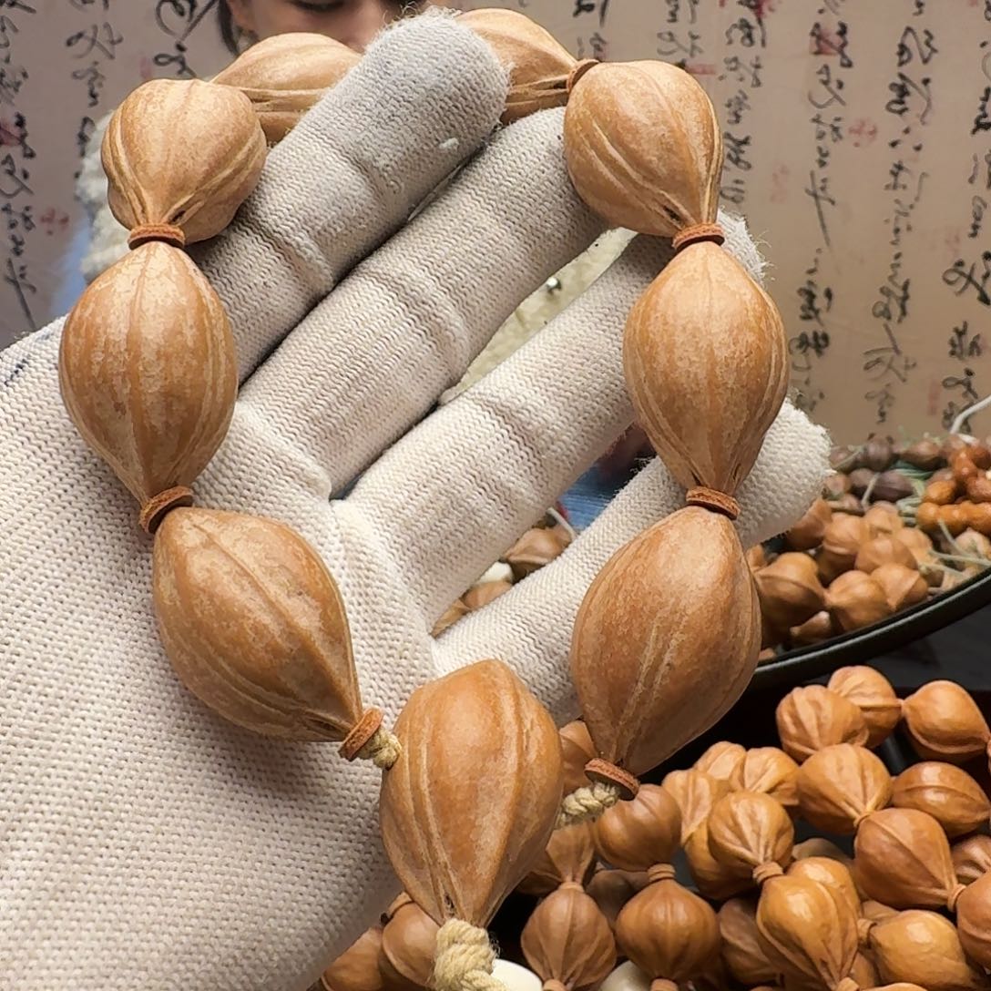 橄榄核手串鲨鱼呗