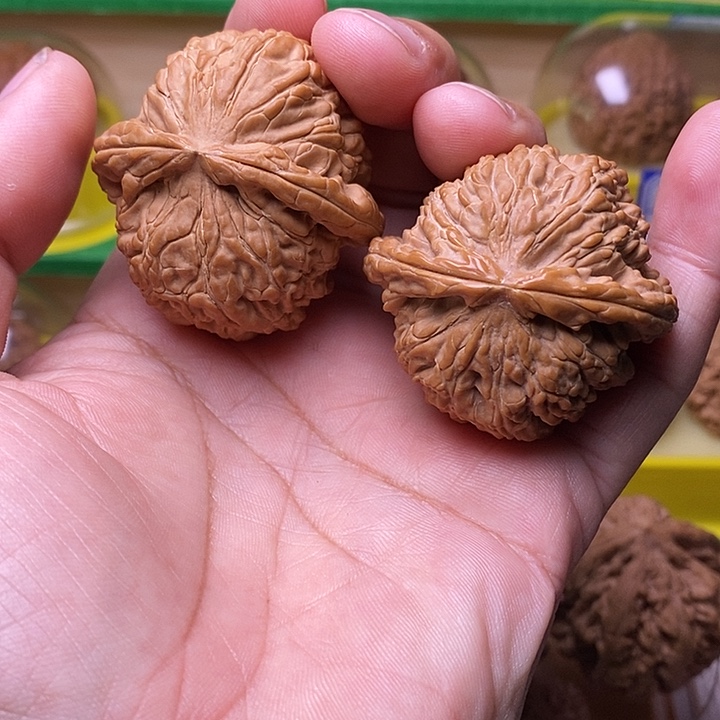核桃手串/手链43白狮子