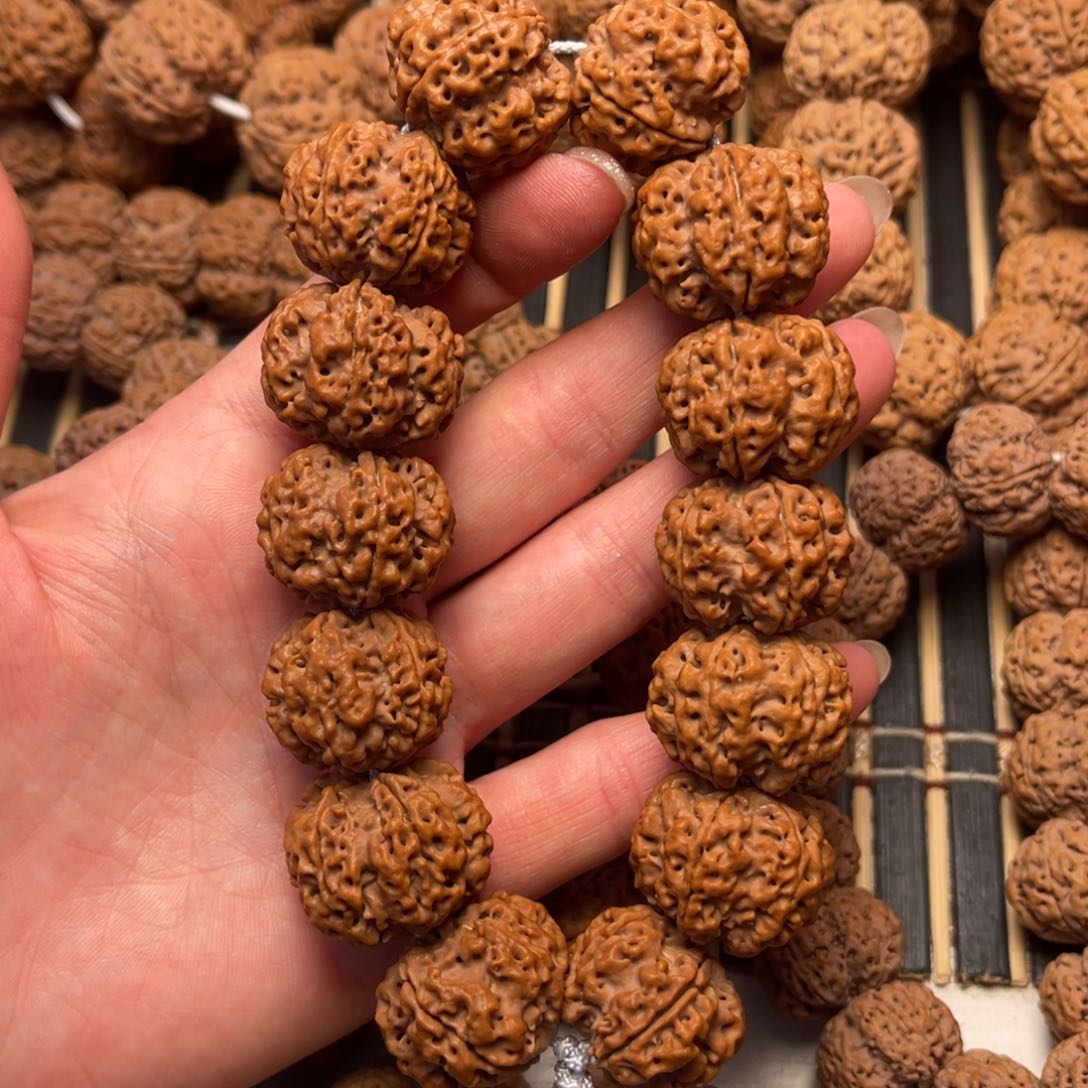 菩提尼泊尔大金刚五爪金龙24