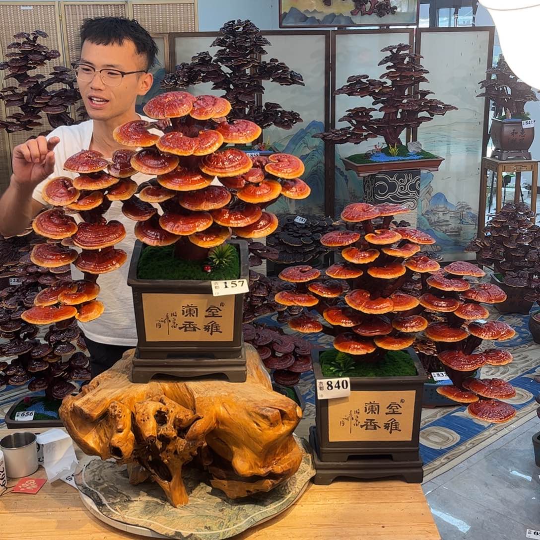 无花朵8888888888888