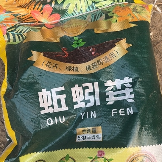 多肉植物一个花肥