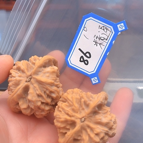 文玩核桃吊坠精**镜罗汉头