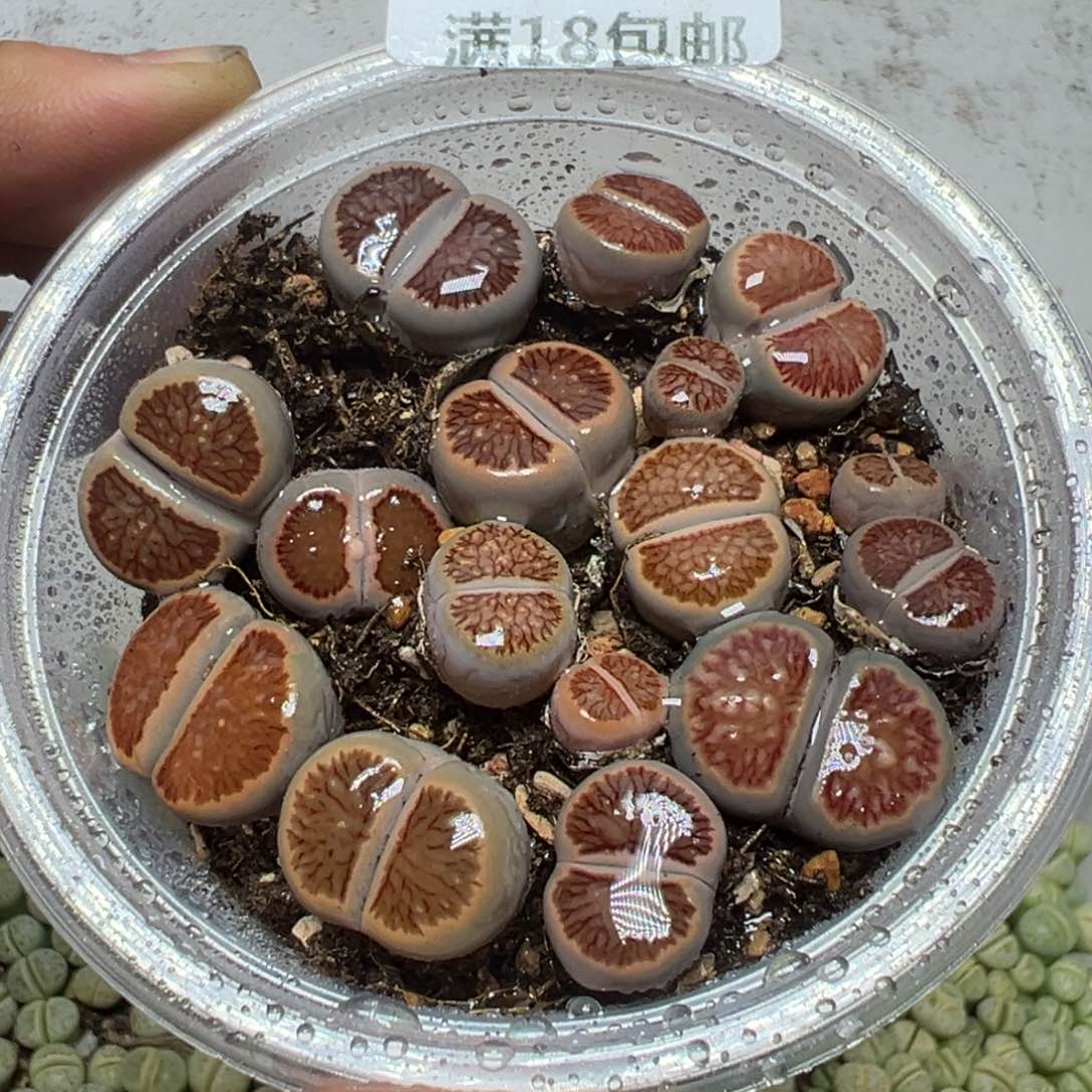 【闪购商品】 629。     