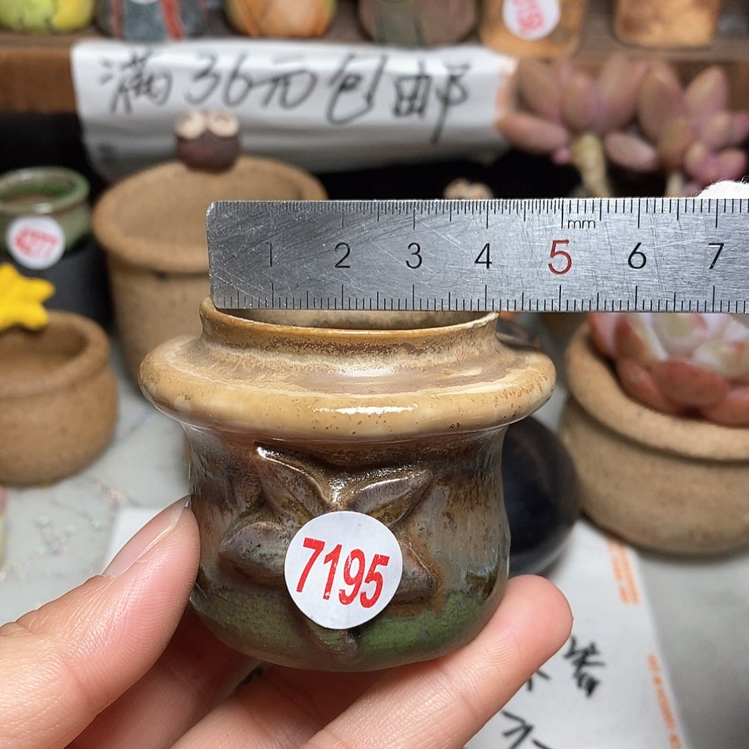 红陶拍5送一个小