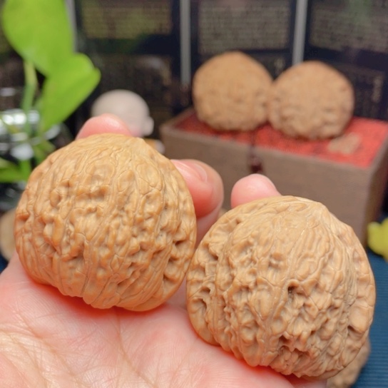 文玩核桃吊坠41全品泥鳅背