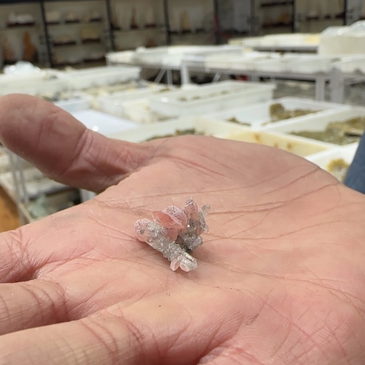 昌化石印石高***动原石料