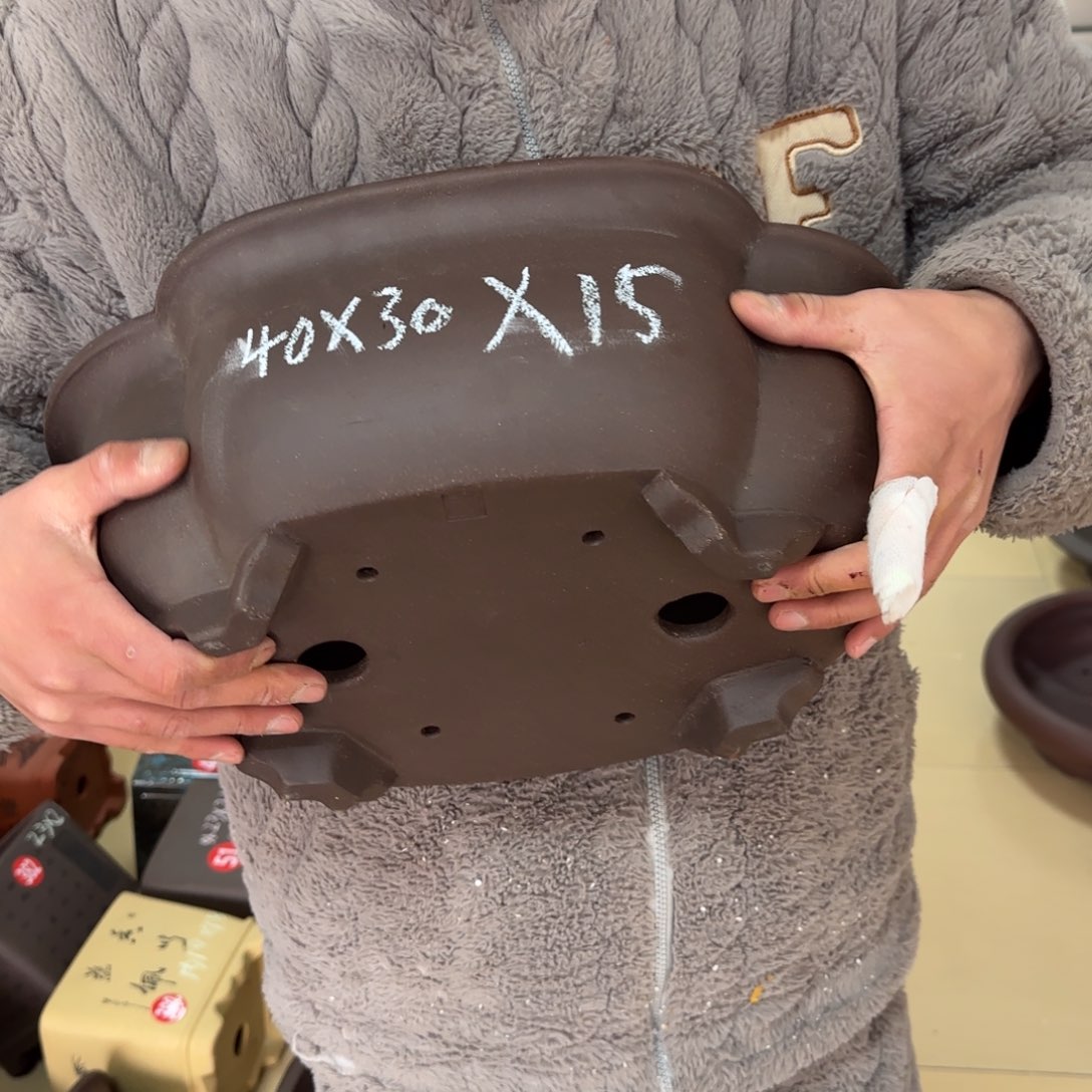 紫砂花盆呜呜呜呜