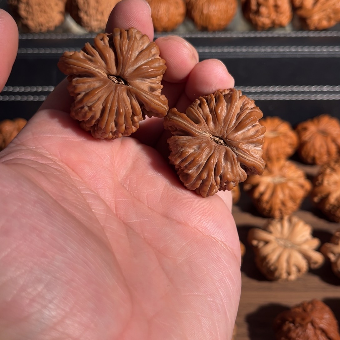 手串/手链核桃40全品三角楼