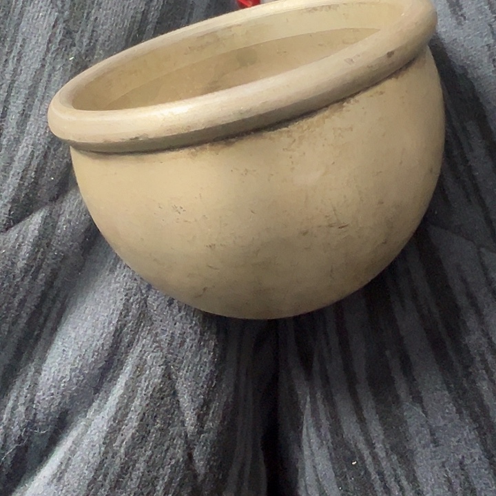 坐***涛杂色豆（科檀/科特迪瓦檀木）