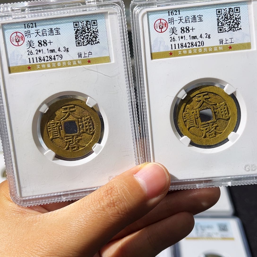 铜小瑶，公博天启工户一对，评级码8479