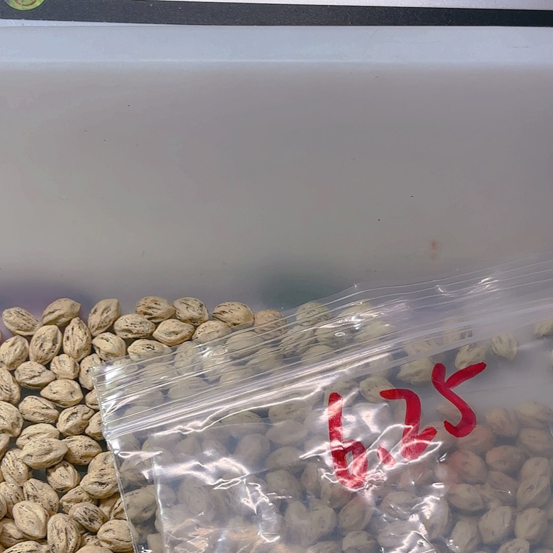 酸*?柏香籽散子 360 克散子