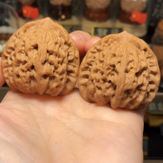 野生小众：精品佛肚