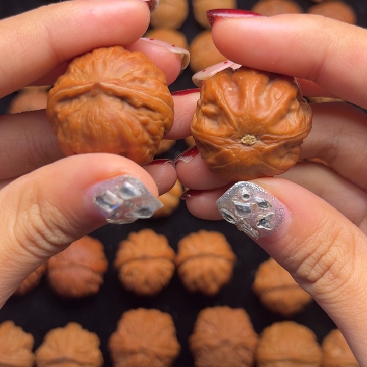 文玩核桃吊坠霸王龙27尺