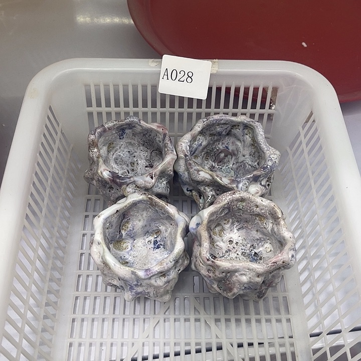 福利待遇多多哦哦哦选一只