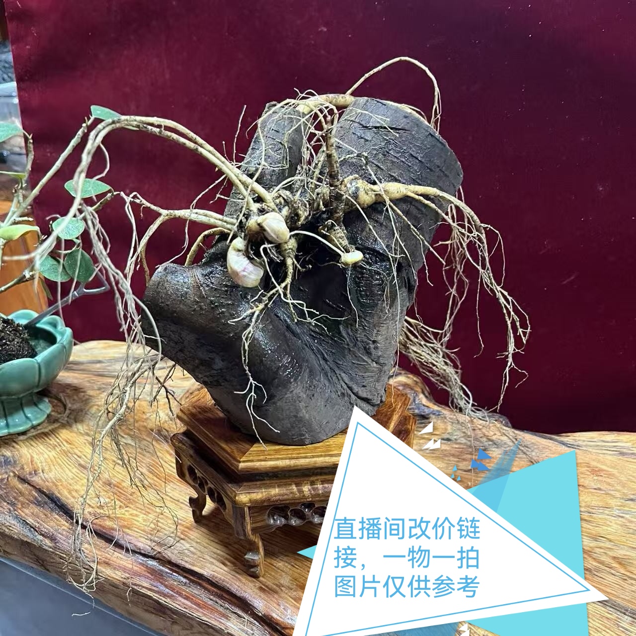 长白山新鲜带土优质保鲜山参煲汤泡酒煮茶佳品