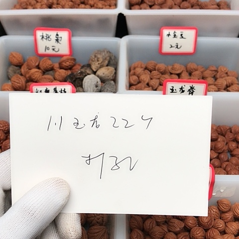 桃核吊坠@***旬龙纹桃核的搭配