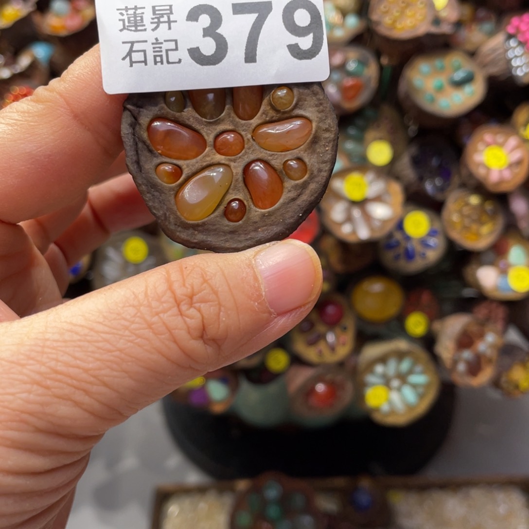 核桃木/黑胡桃（胡桃木）羽*?379