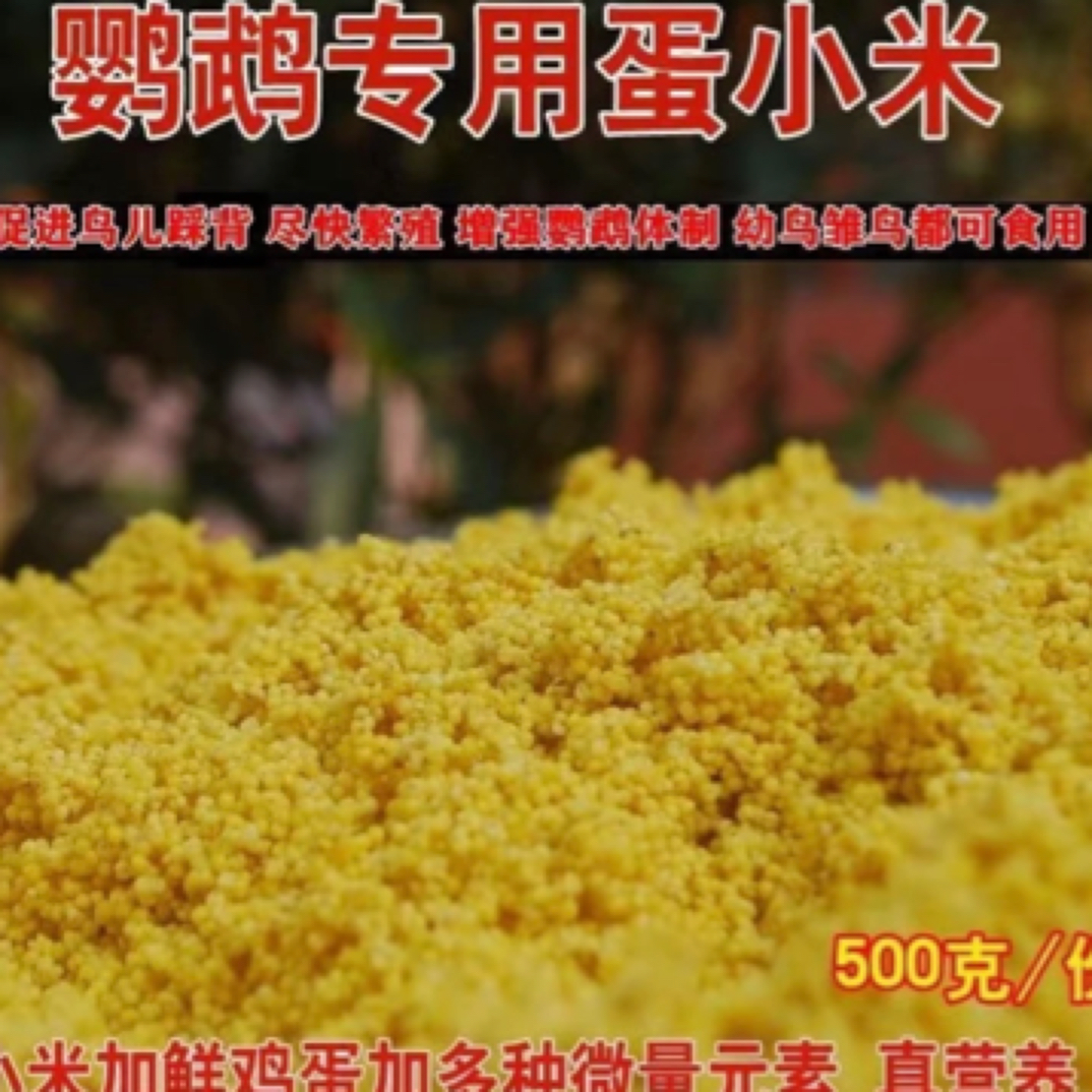 蛋小米无壳小米虎皮牡丹玄凤鹦鹉种鸟繁殖营养幼鸟学吃粮1斤装