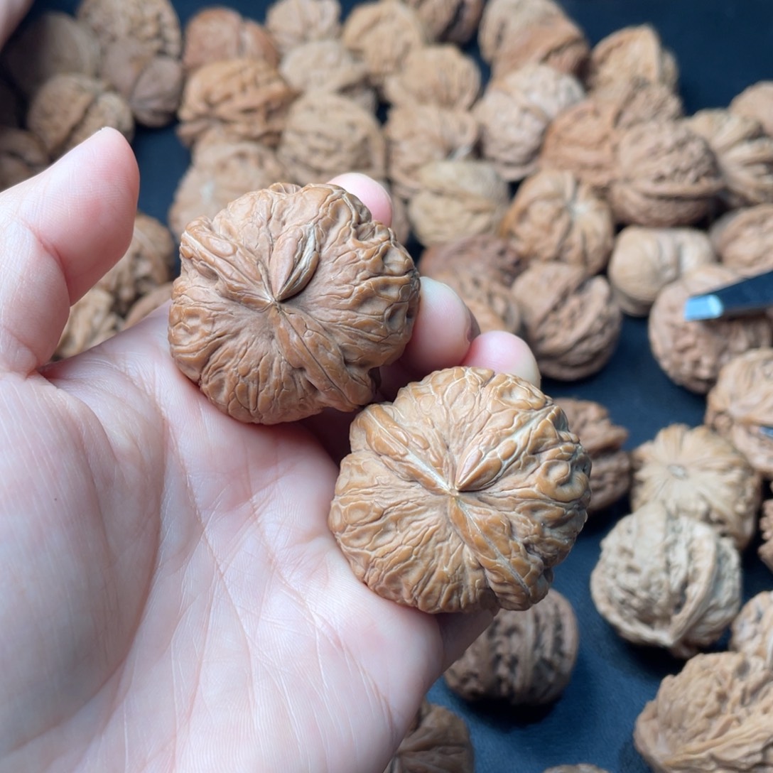 文玩核桃把件40平谷元宝角