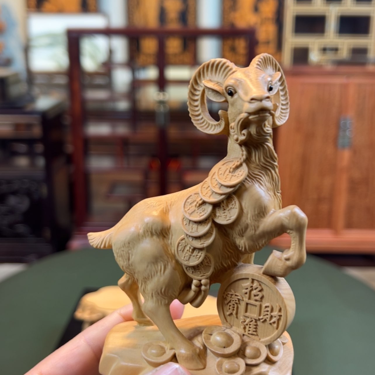 【闪购商品】黄杨木其他黄杨木