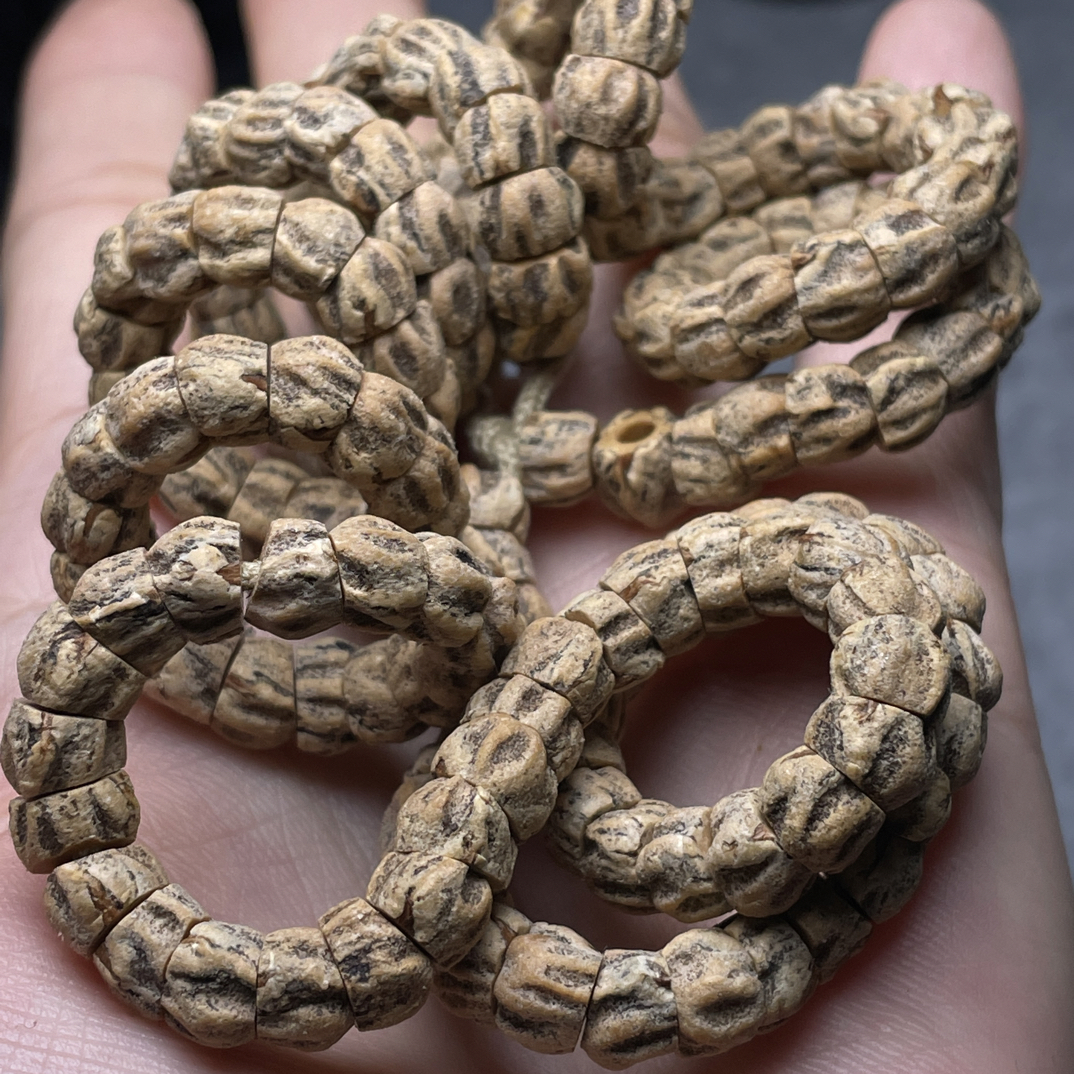 精挑稀有级高油高密热振百香籽斜切大肠串