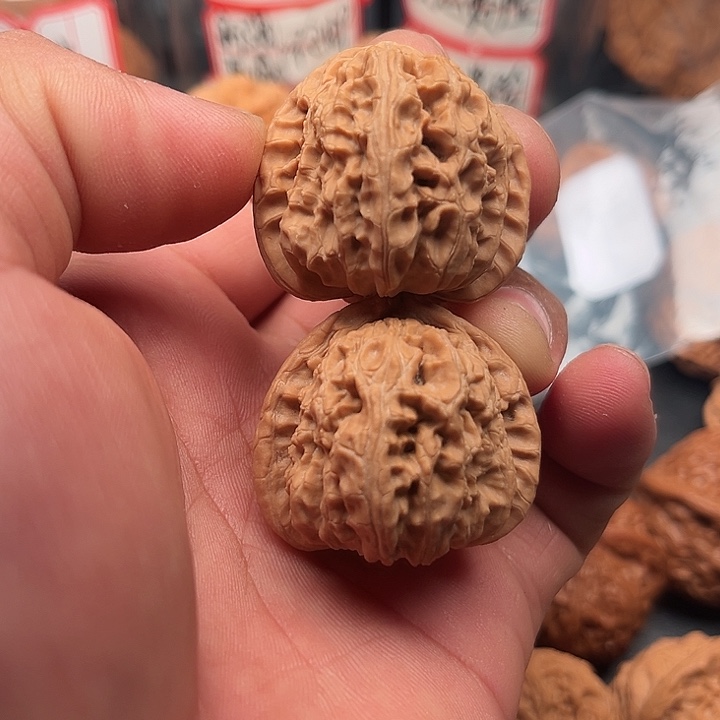 文玩核桃把件白狮子36