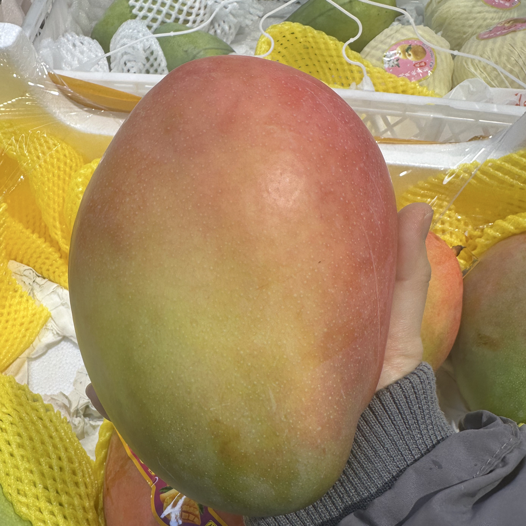 凯特芒果500g~800g