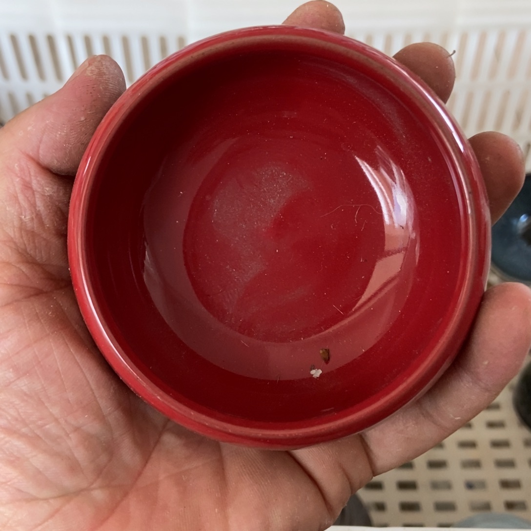 杯直播链接直播链接