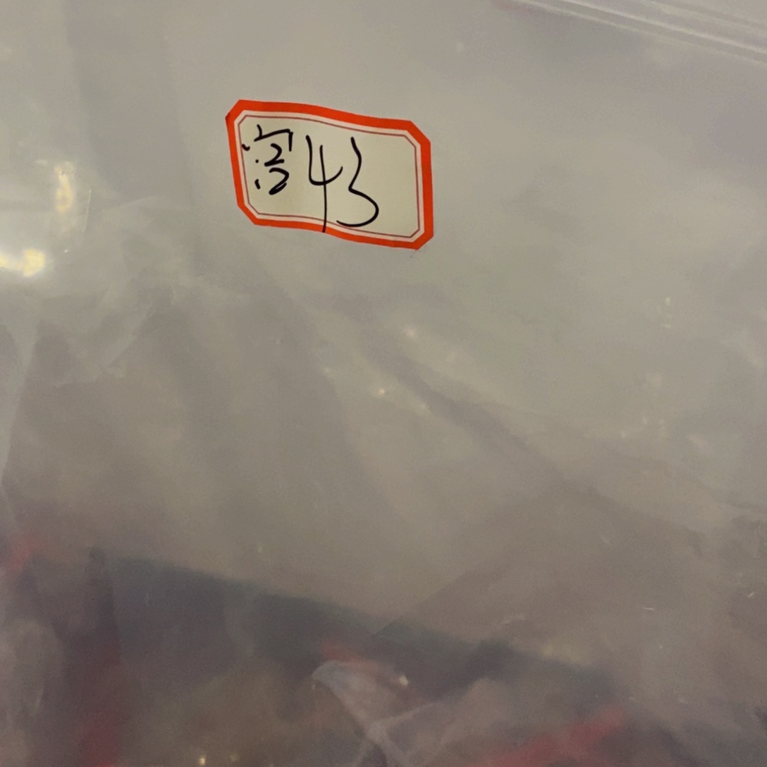 吊坠文玩核桃宫灯43