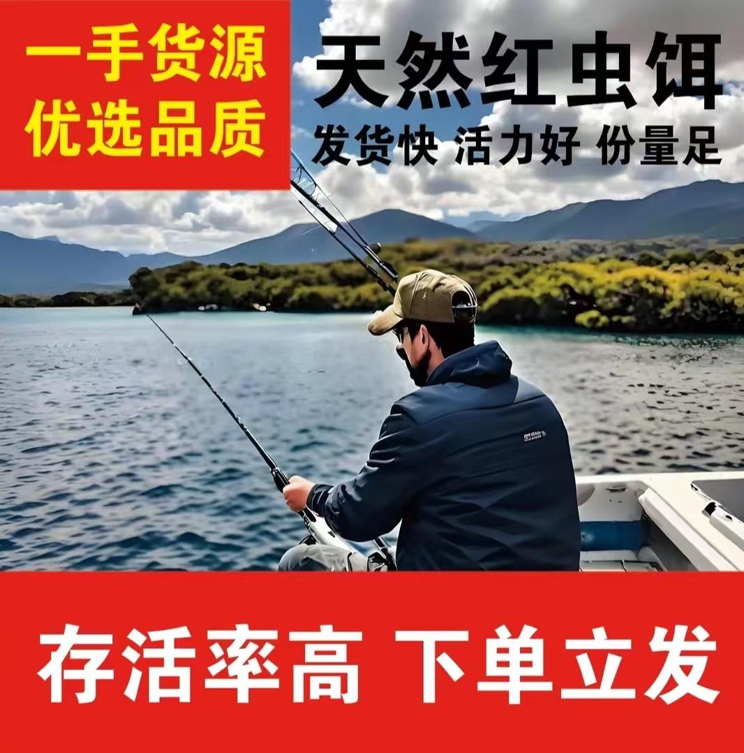 顺丰包邮【中小号拉饵】红虫精品虫野钓黑坑竞技冬季钓鱼必备饵料