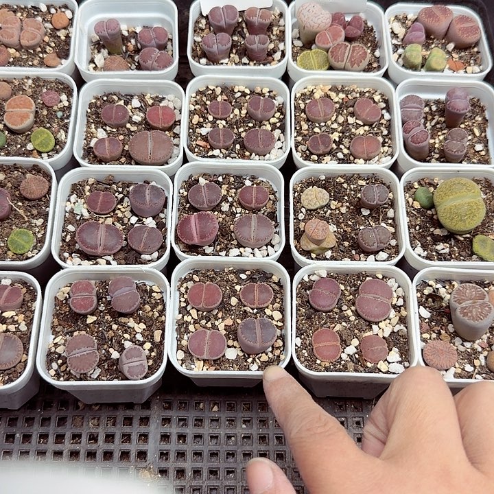 你不给别人的时间都347不